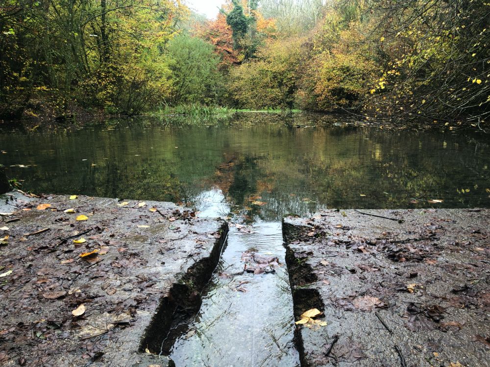 Ashford Hangers Nature reserve film and photoshoot location (Near petersfield, Hampshire)