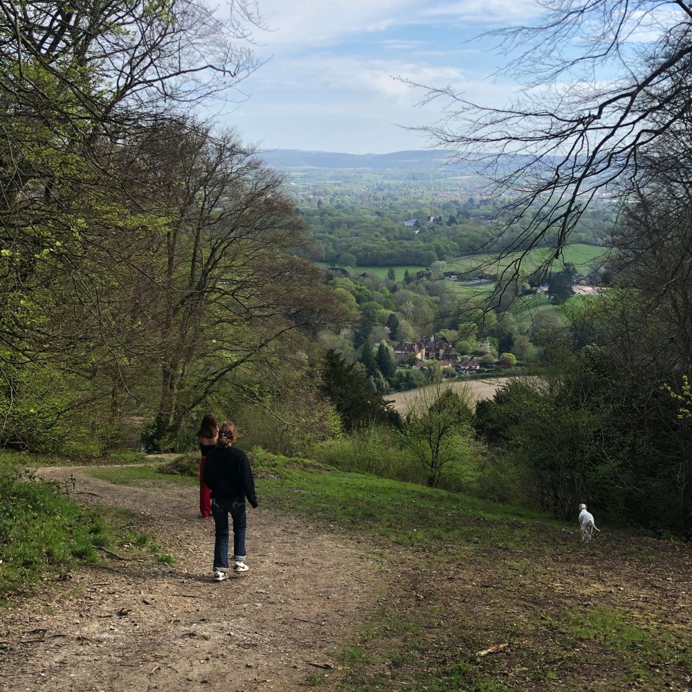 Ashford Hangers Nature reserve film and photoshoot location (Near petersfield, Hampshire)
