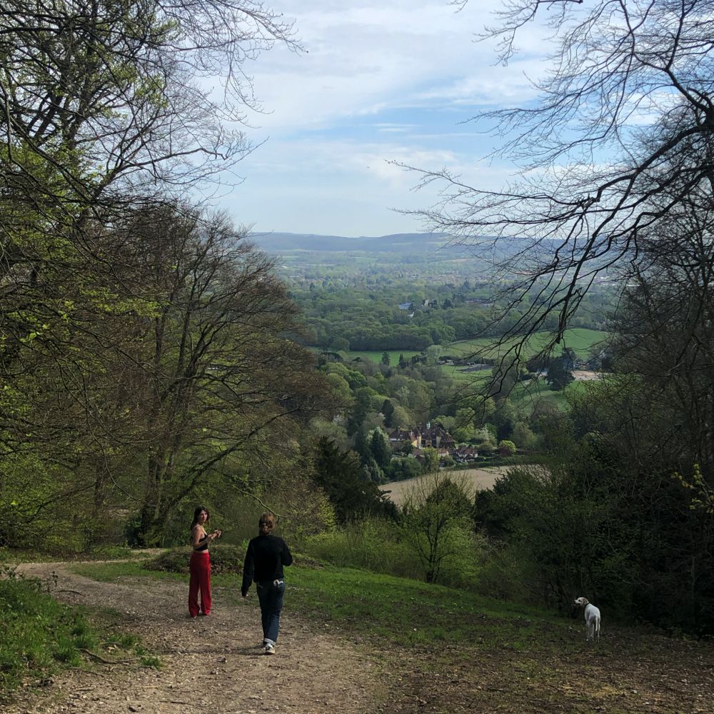Ashford Hangers Nature reserve film and photoshoot location (Near petersfield, Hampshire)