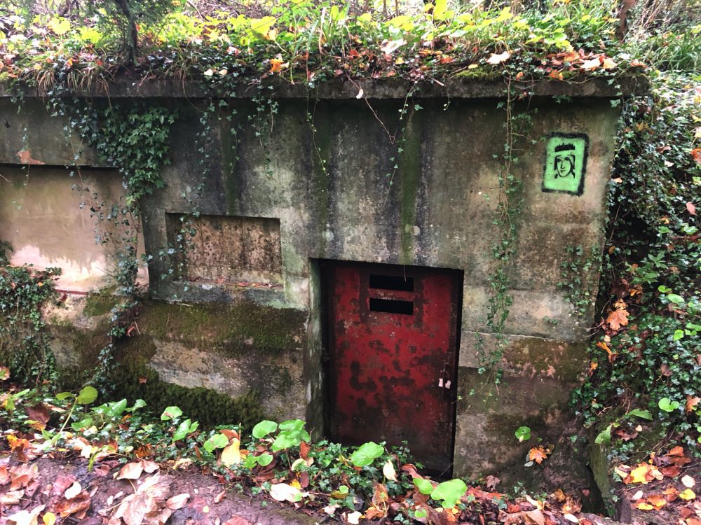 Ashford Hangers Nature reserve film and photoshoot location (Near petersfield, Hampshire)