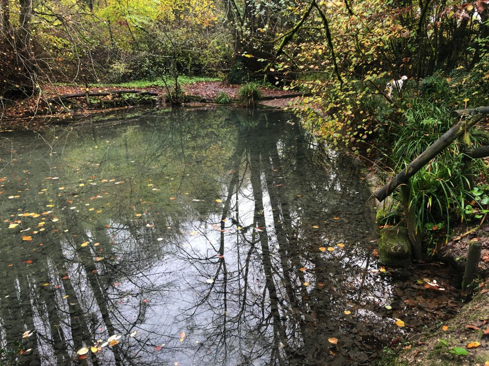 Ashford Hangers Nature reserve film and photoshoot location (Near petersfield, Hampshire)