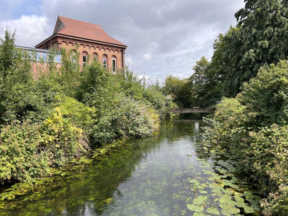 Walthamstow Wetlands nature reserve and reservoirs (London)