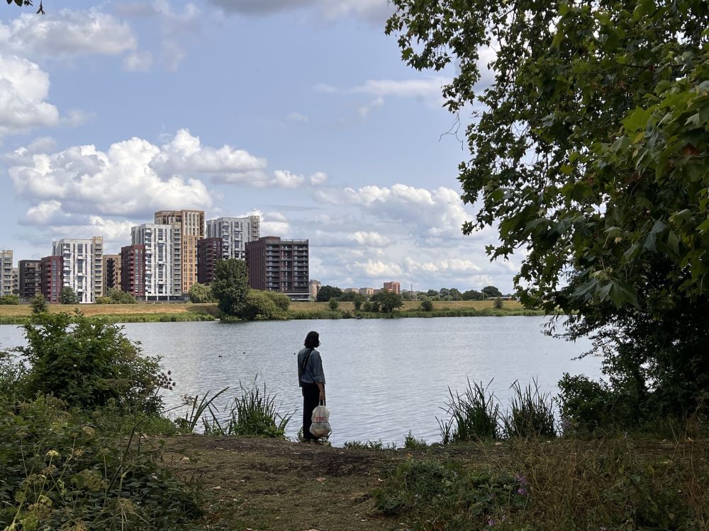 Walthamstow Wetlands nature reserve and reservoirs (London)
