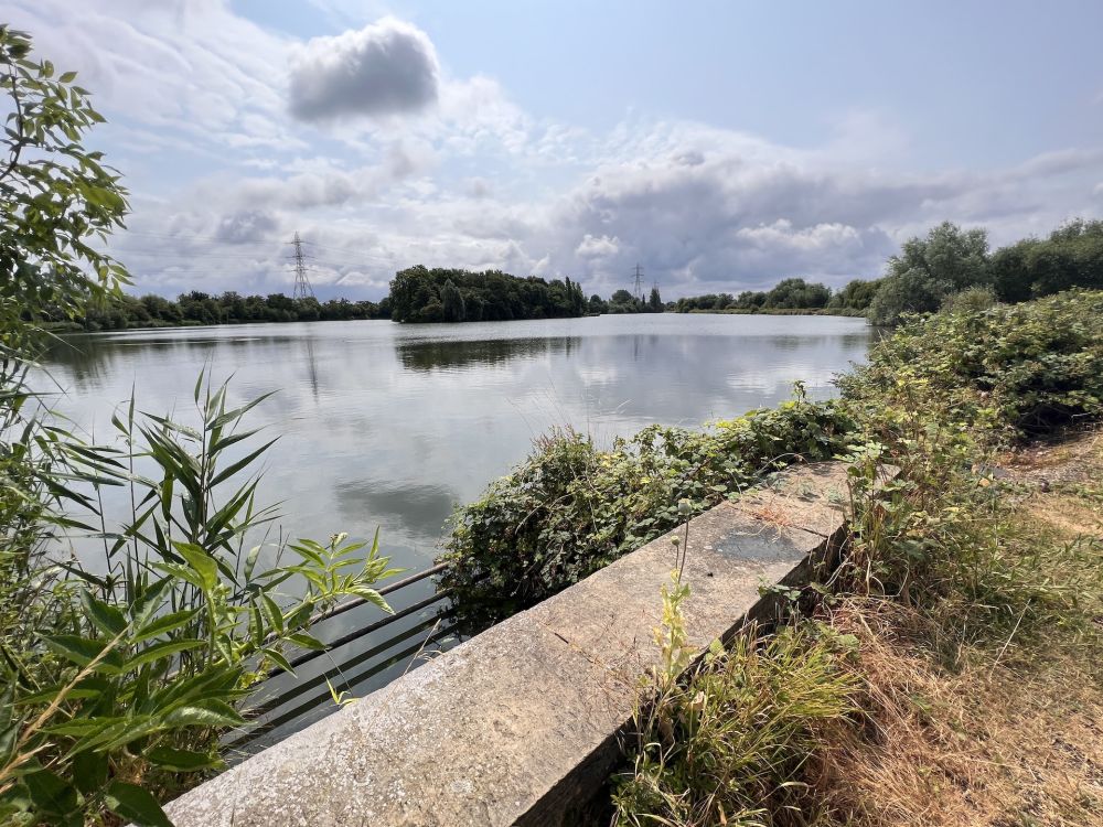 Walthamstow Wetlands nature reserve and reservoirs (London)
