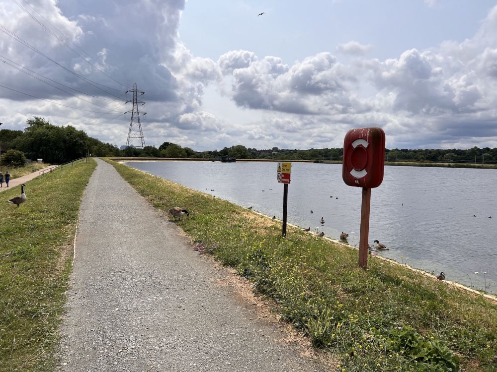 Walthamstow Wetlands nature reserve and reservoirs (London)