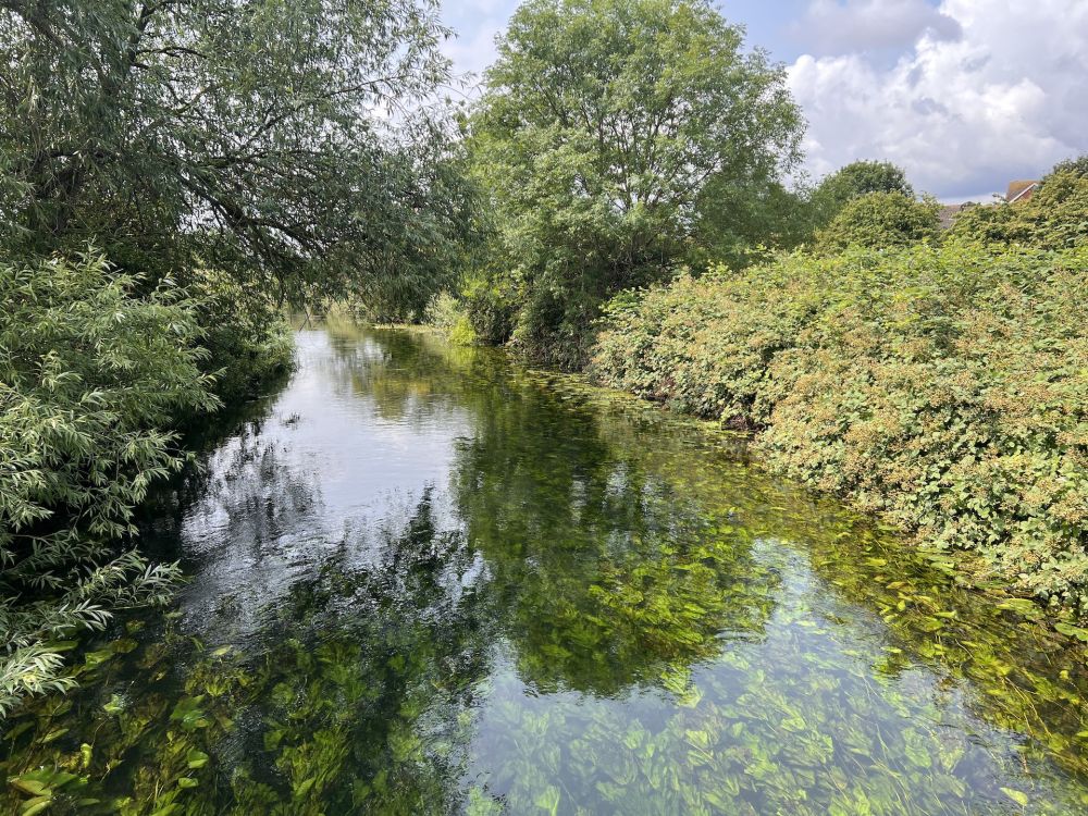 Walthamstow Wetlands nature reserve and reservoirs (London)
