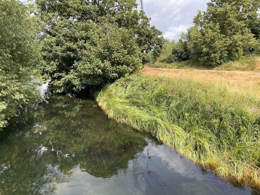Walthamstow Wetlands nature reserve and reservoirs (London)
