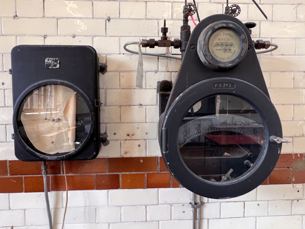 Walthamstow Wetlands nature reserve and reservoirs (London)