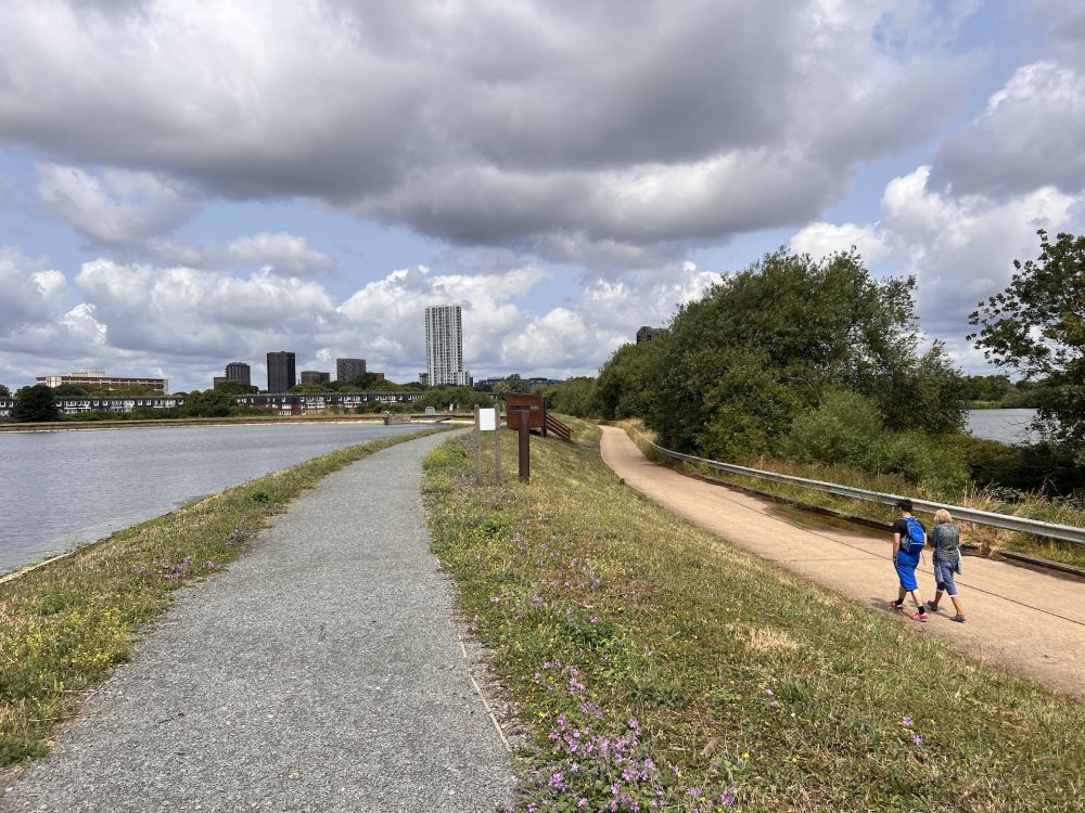 Walthamstow Wetlands nature reserve and reservoirs (London)