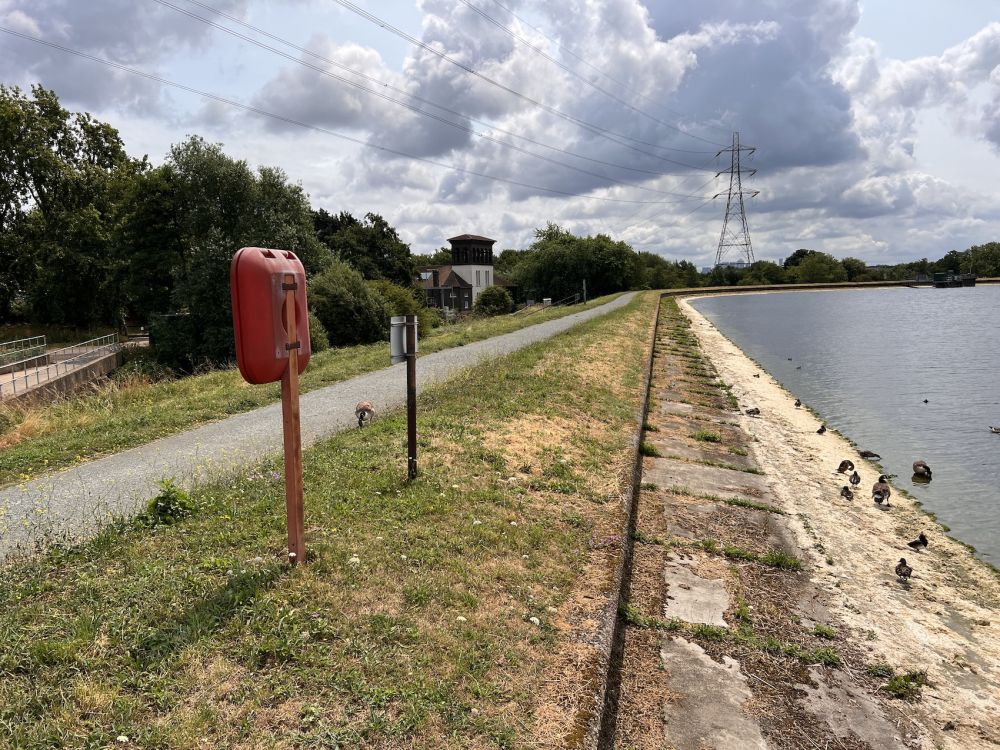Walthamstow Wetlands nature reserve and reservoirs (London)