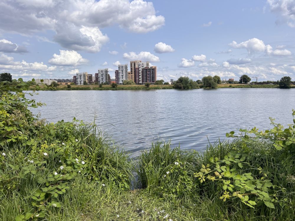 Walthamstow Wetlands nature reserve and reservoirs (London)