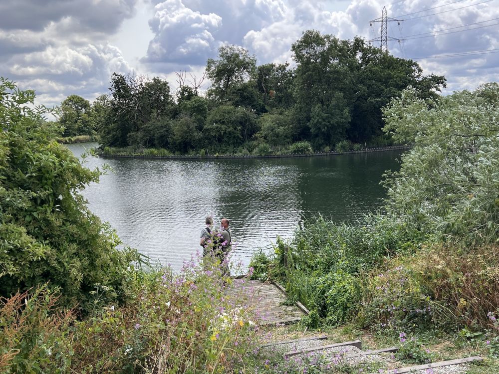 Walthamstow Wetlands nature reserve and reservoirs (London)