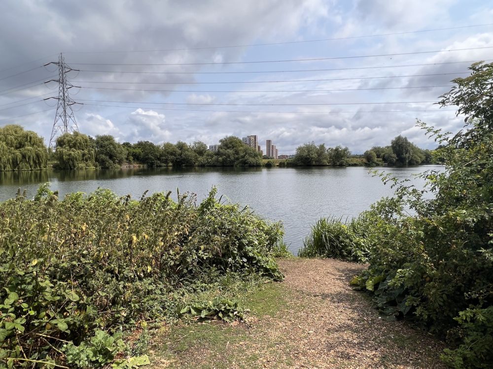 Walthamstow Wetlands nature reserve and reservoirs (London)