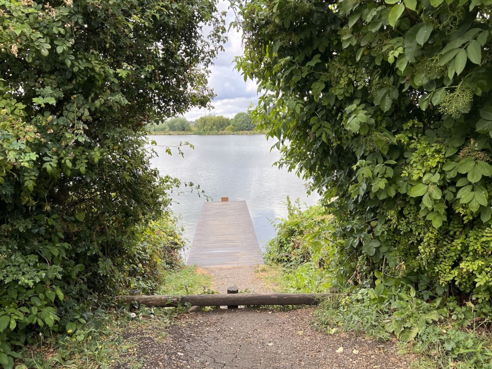 Walthamstow Wetlands nature reserve and reservoirs (London)