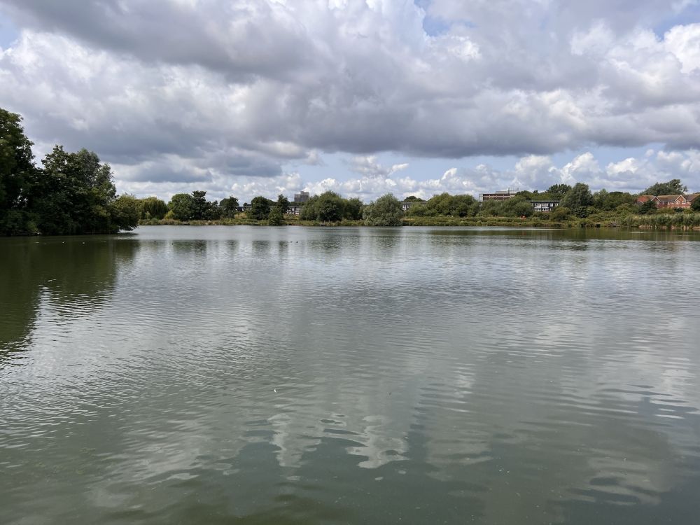 Walthamstow Wetlands nature reserve and reservoirs (London)