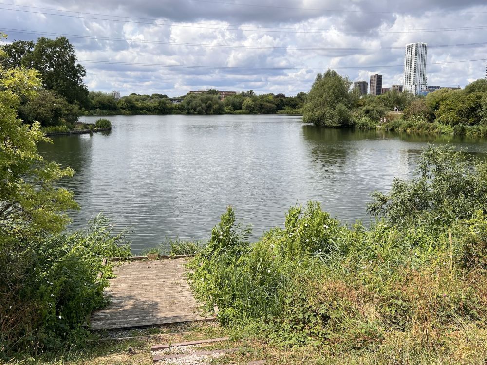 Walthamstow Wetlands nature reserve and reservoirs (London)