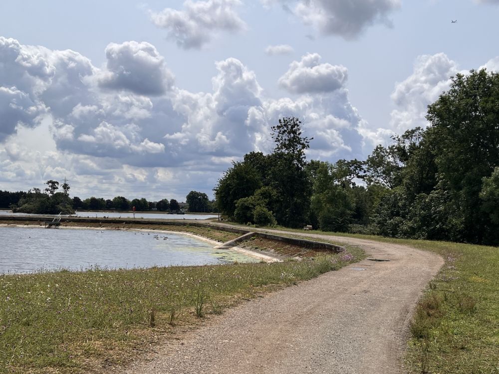 Walthamstow Wetlands nature reserve and reservoirs (London)
