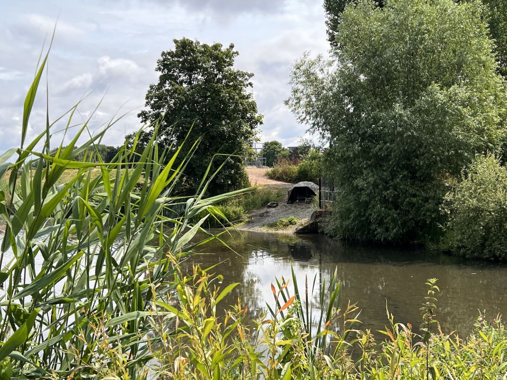 Walthamstow Wetlands nature reserve and reservoirs (London)