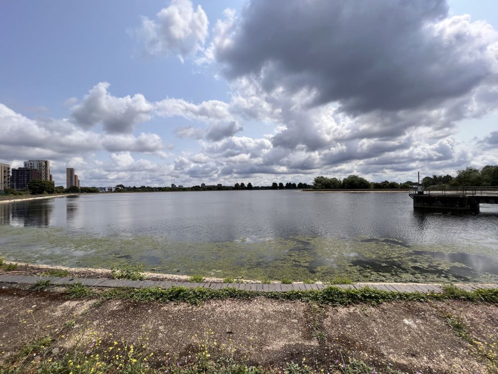 Walthamstow Wetlands nature reserve and reservoirs (London)