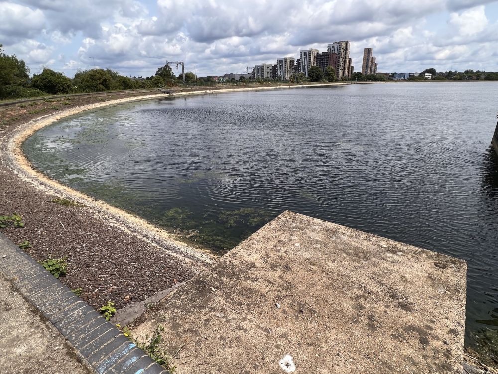 Walthamstow Wetlands nature reserve and reservoirs (London)