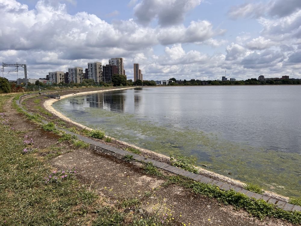 Walthamstow Wetlands nature reserve and reservoirs (London)