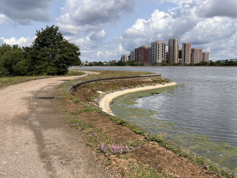 Walthamstow Wetlands nature reserve and reservoirs (London)
