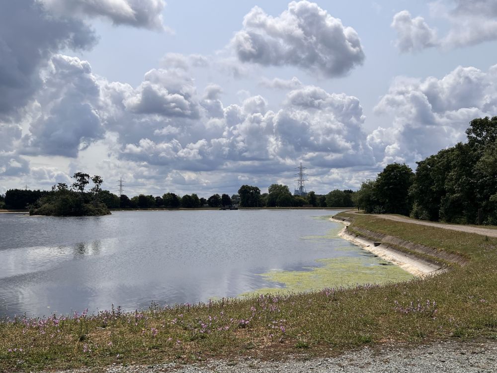 Walthamstow Wetlands nature reserve and reservoirs (London)
