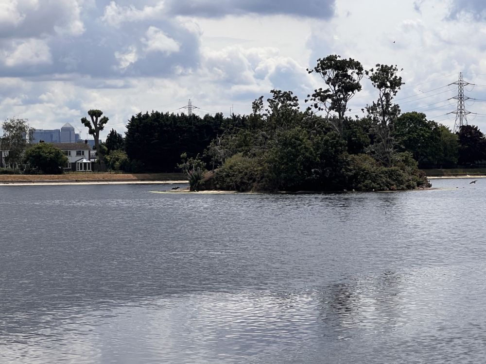 Walthamstow Wetlands nature reserve and reservoirs (London)