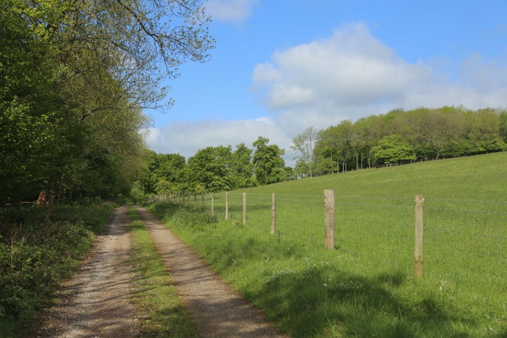 A stunning  estate for film and photoshoot location (Stokenchurch, Buckinghamshire)