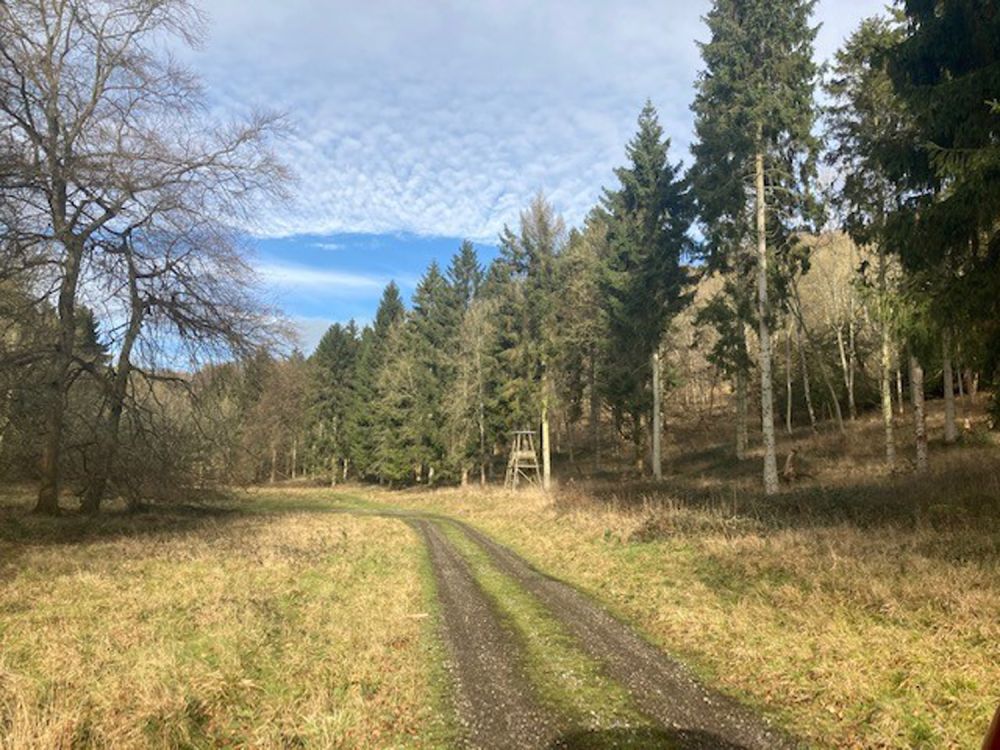 A stunning  estate for film and photoshoot location (Stokenchurch, Buckinghamshire)