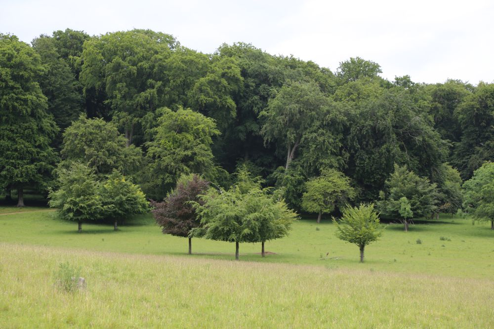 A stunning  estate for film and photoshoot location (Stokenchurch, Buckinghamshire)