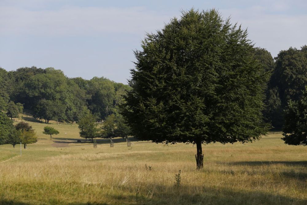 A stunning  estate for film and photoshoot location (Stokenchurch, Buckinghamshire)