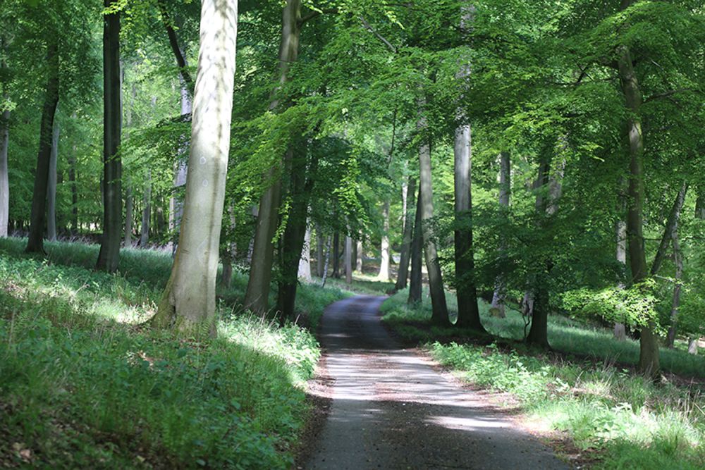 A stunning  estate for film and photoshoot location (Stokenchurch, Buckinghamshire)