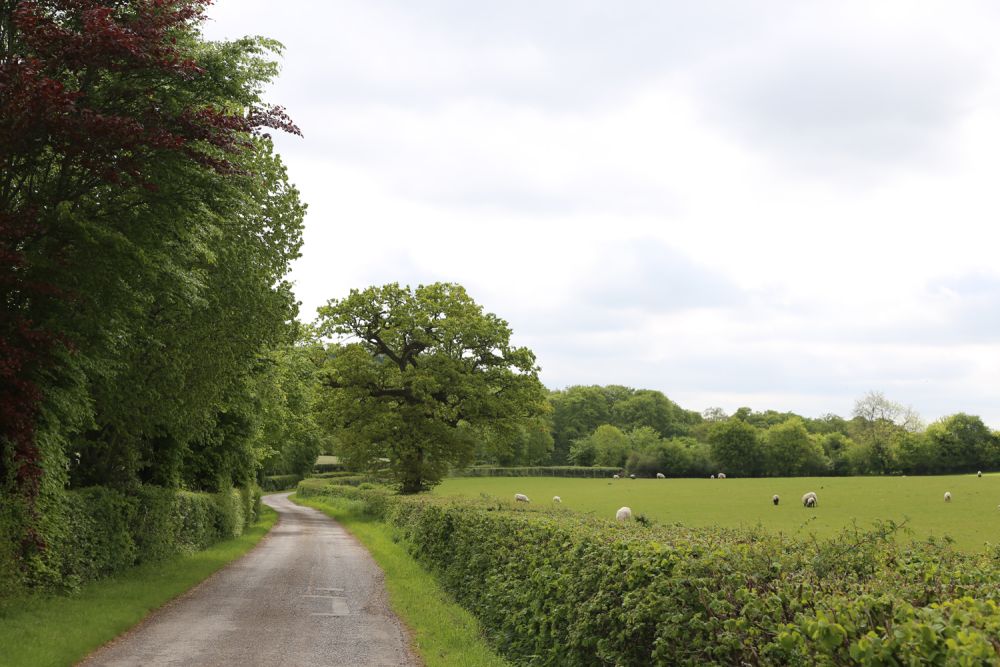 A stunning  estate for film and photoshoot location (Stokenchurch, Buckinghamshire)