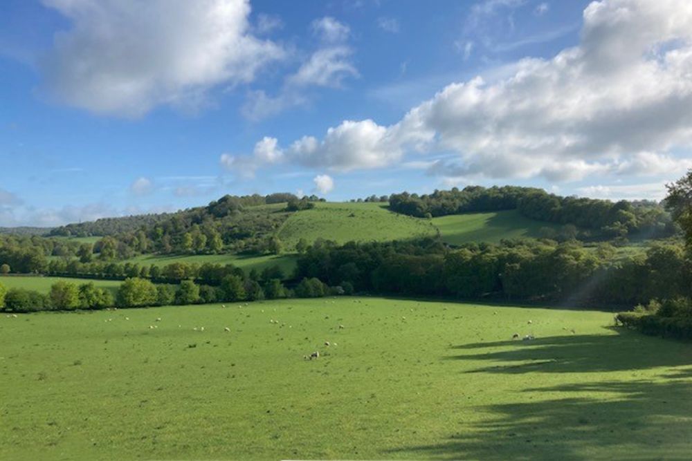 A stunning  estate for film and photoshoot location (Stokenchurch, Buckinghamshire)