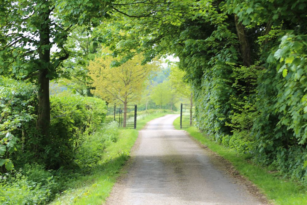 A stunning  estate for film and photoshoot location (Stokenchurch, Buckinghamshire)