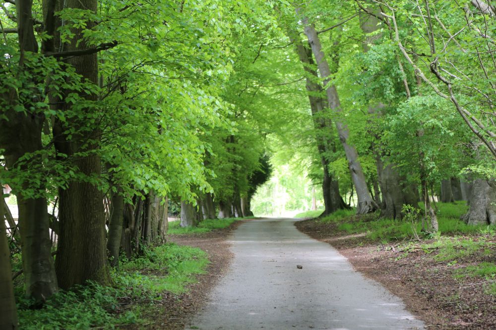 A stunning  estate for film and photoshoot location (Stokenchurch, Buckinghamshire)