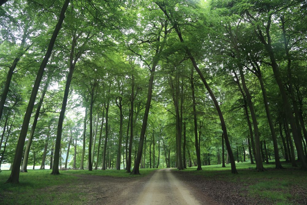 A stunning  estate for film and photoshoot location (Stokenchurch, Buckinghamshire)