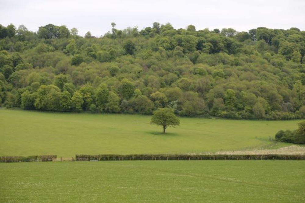 A stunning  estate for film and photoshoot location (Stokenchurch, Buckinghamshire)