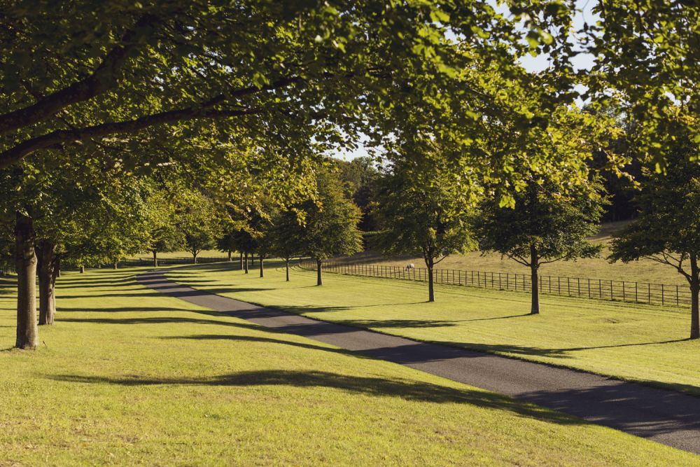 A stunning  estate for film and photoshoot location (Stokenchurch, Buckinghamshire)