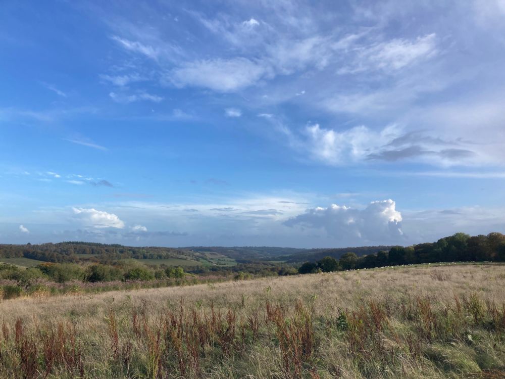 A stunning  estate for film and photoshoot location (Stokenchurch, Buckinghamshire)