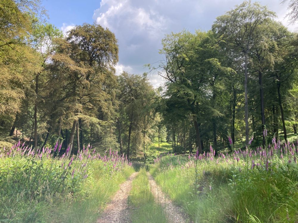 A stunning  estate for film and photoshoot location (Stokenchurch, Buckinghamshire)