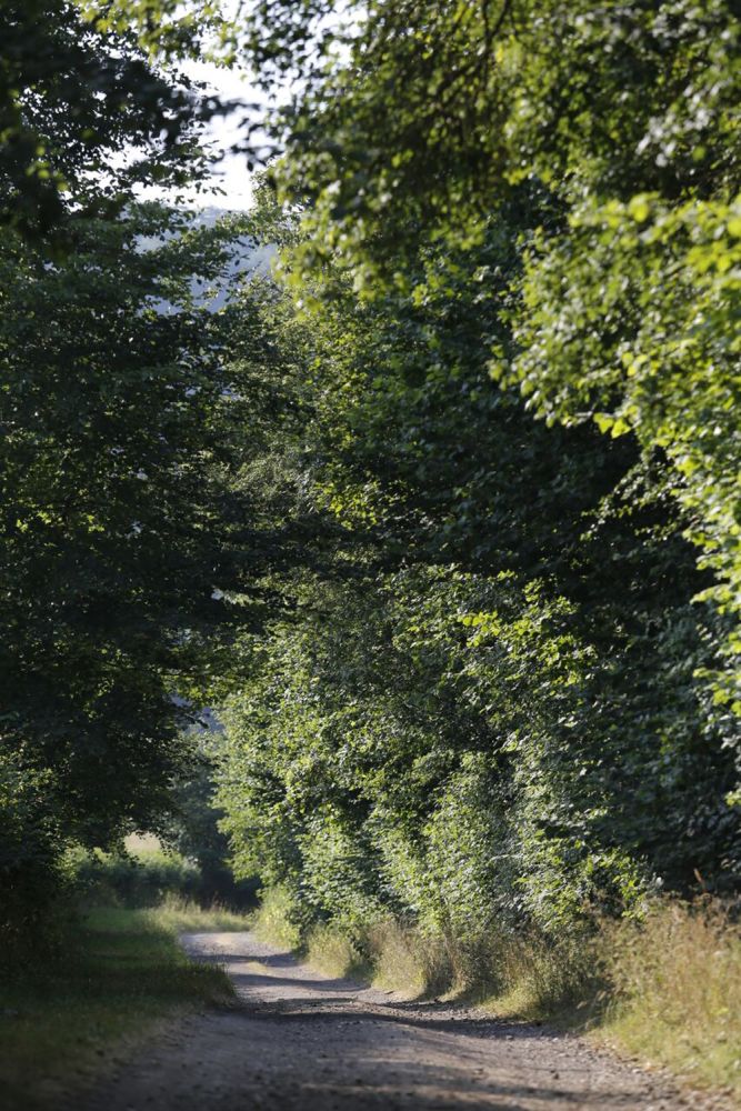 A stunning  estate for film and photoshoot location (Stokenchurch, Buckinghamshire)