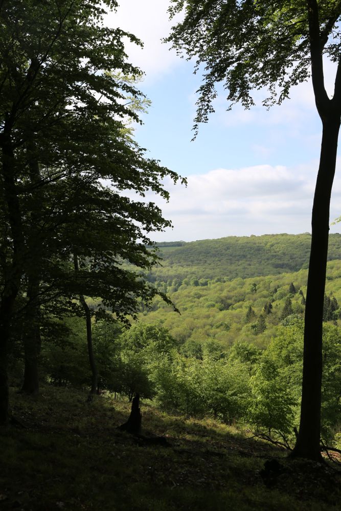 A stunning  estate for film and photoshoot location (Stokenchurch, Buckinghamshire)