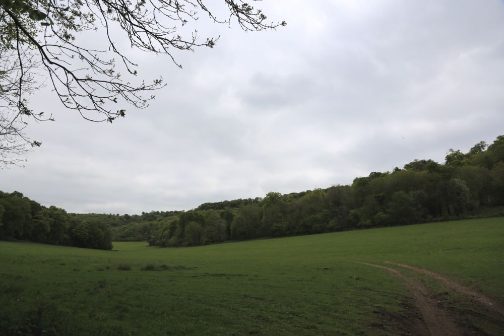 A stunning  estate for film and photoshoot location (Stokenchurch, Buckinghamshire)