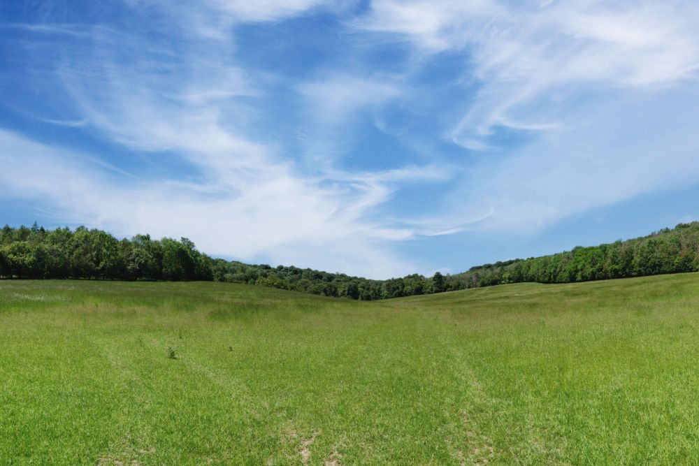 A stunning  estate for film and photoshoot location (Stokenchurch, Buckinghamshire)