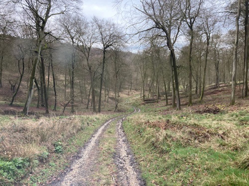 A stunning  estate for film and photoshoot location (Stokenchurch, Buckinghamshire)