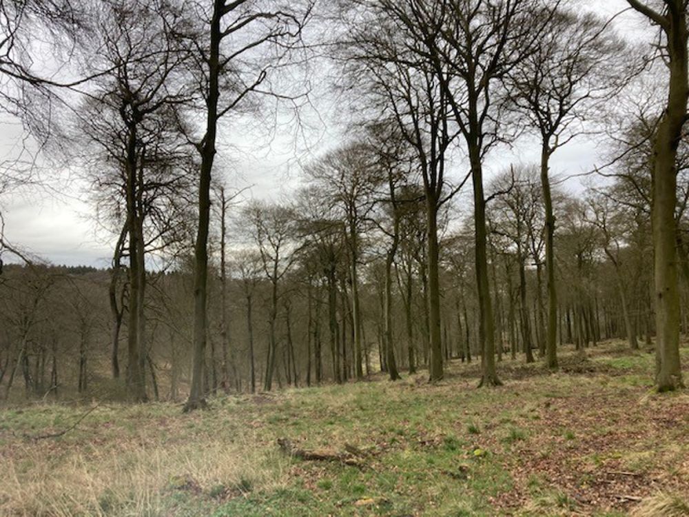 A stunning  estate for film and photoshoot location (Stokenchurch, Buckinghamshire)