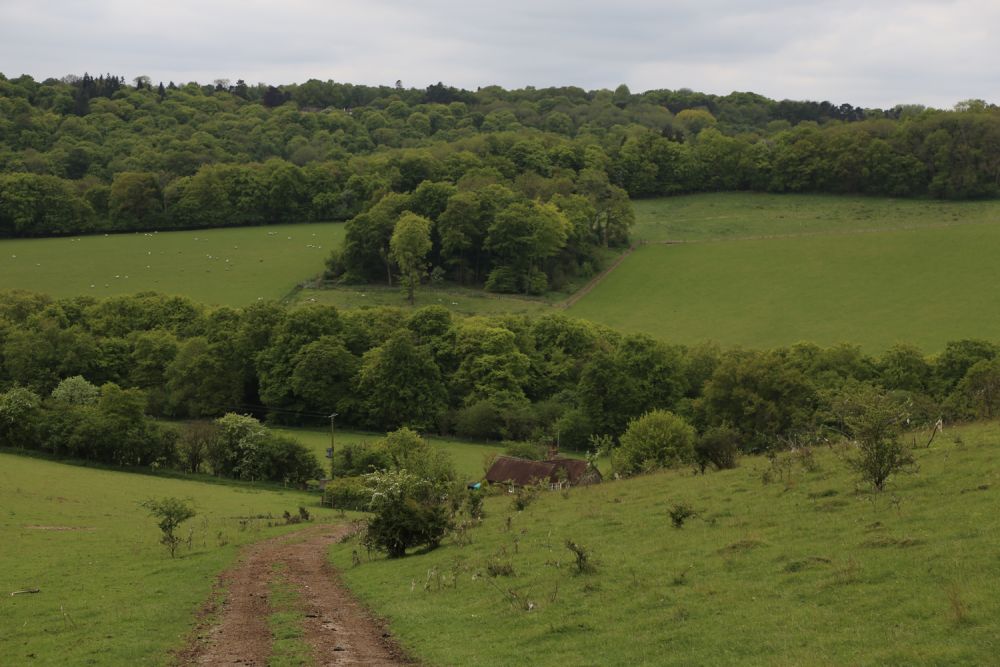 Vacant cottage and a barn on a private country estate for film, shoot location hire (Stokenchurch, Buckinghamshire)