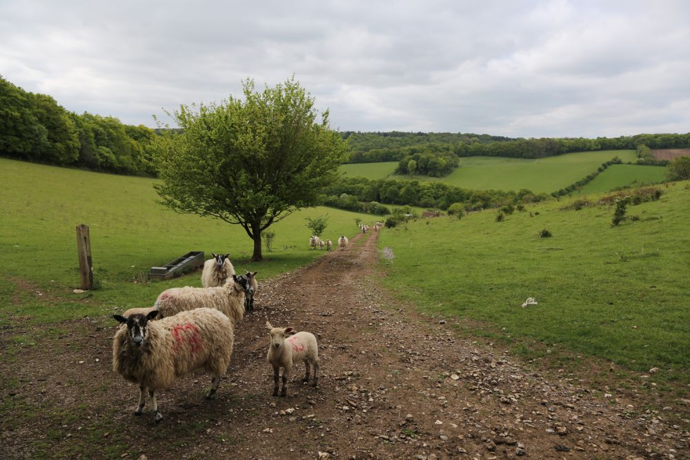 Vacant cottage and a barn on a private country estate for film, shoot location hire (Stokenchurch, Buckinghamshire)